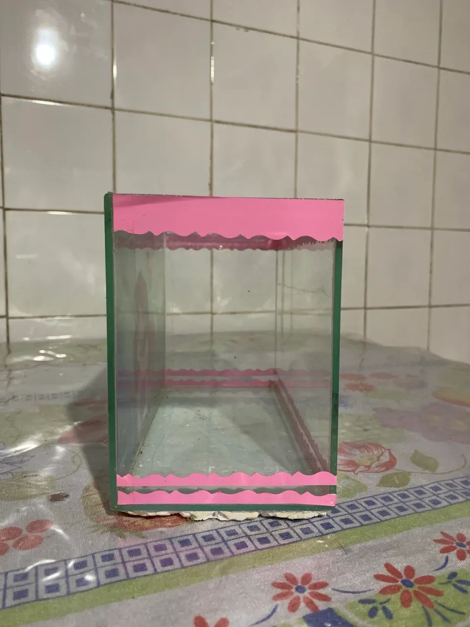Vendo 2 aquários juntos de uma vez - Foto 5