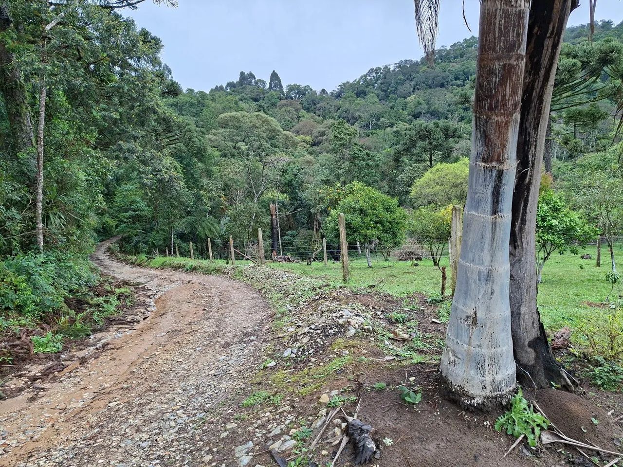 CHÁCARA/ CAMPO MAGRO-PR - Foto 5
