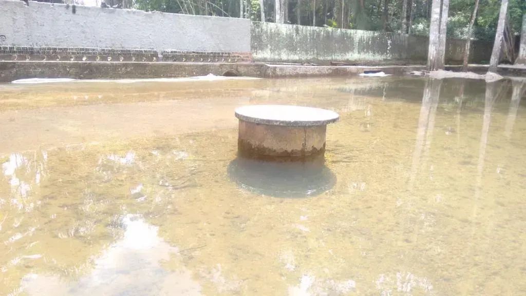 BELISSIMO SITIO ESTRADA DE MOSQUEIRO para venda com 88000M²  COM CASA SEDE PRONTA E MOBILI - Foto 5