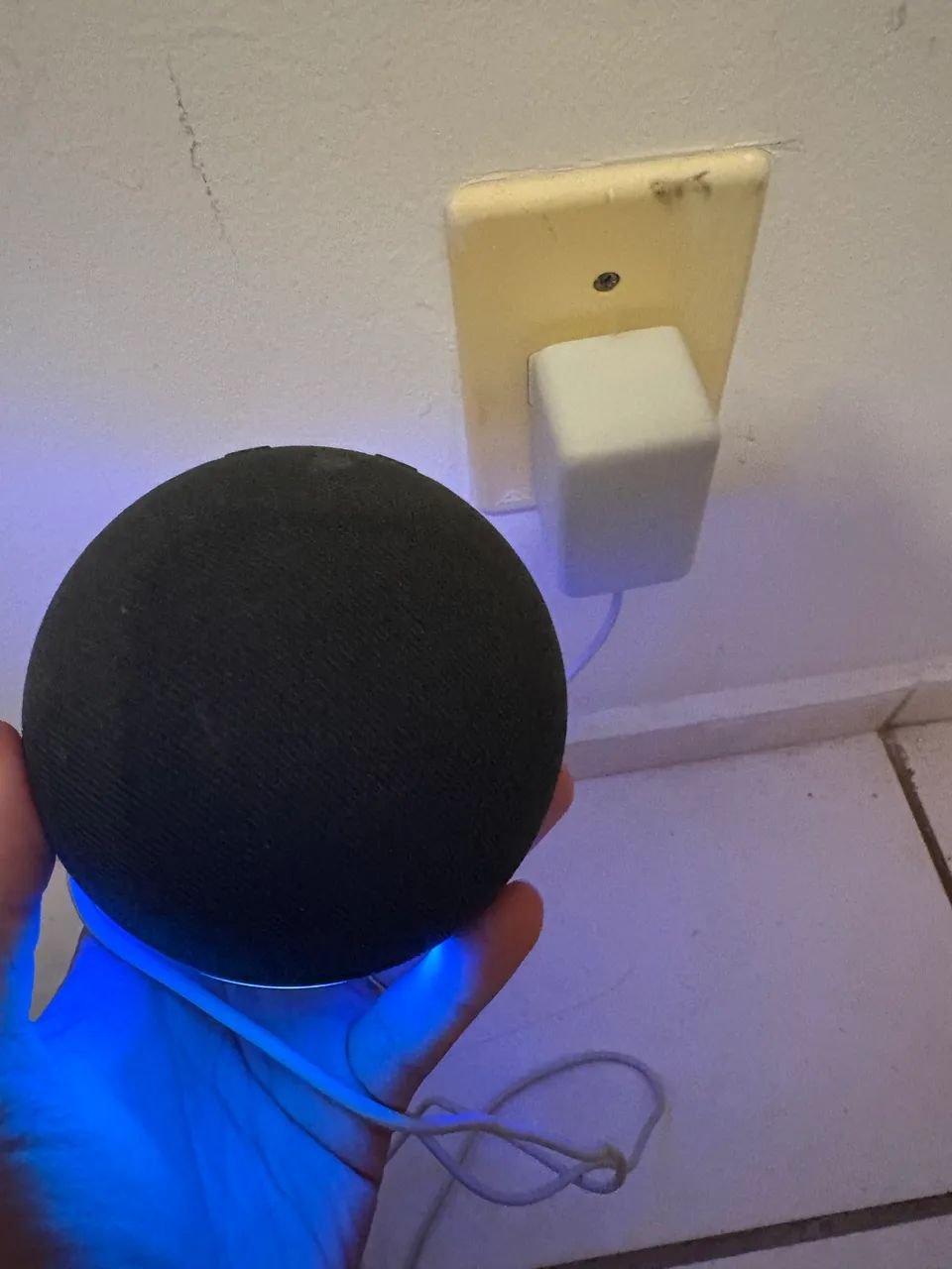 Alexa - Echo dot 5 geração 