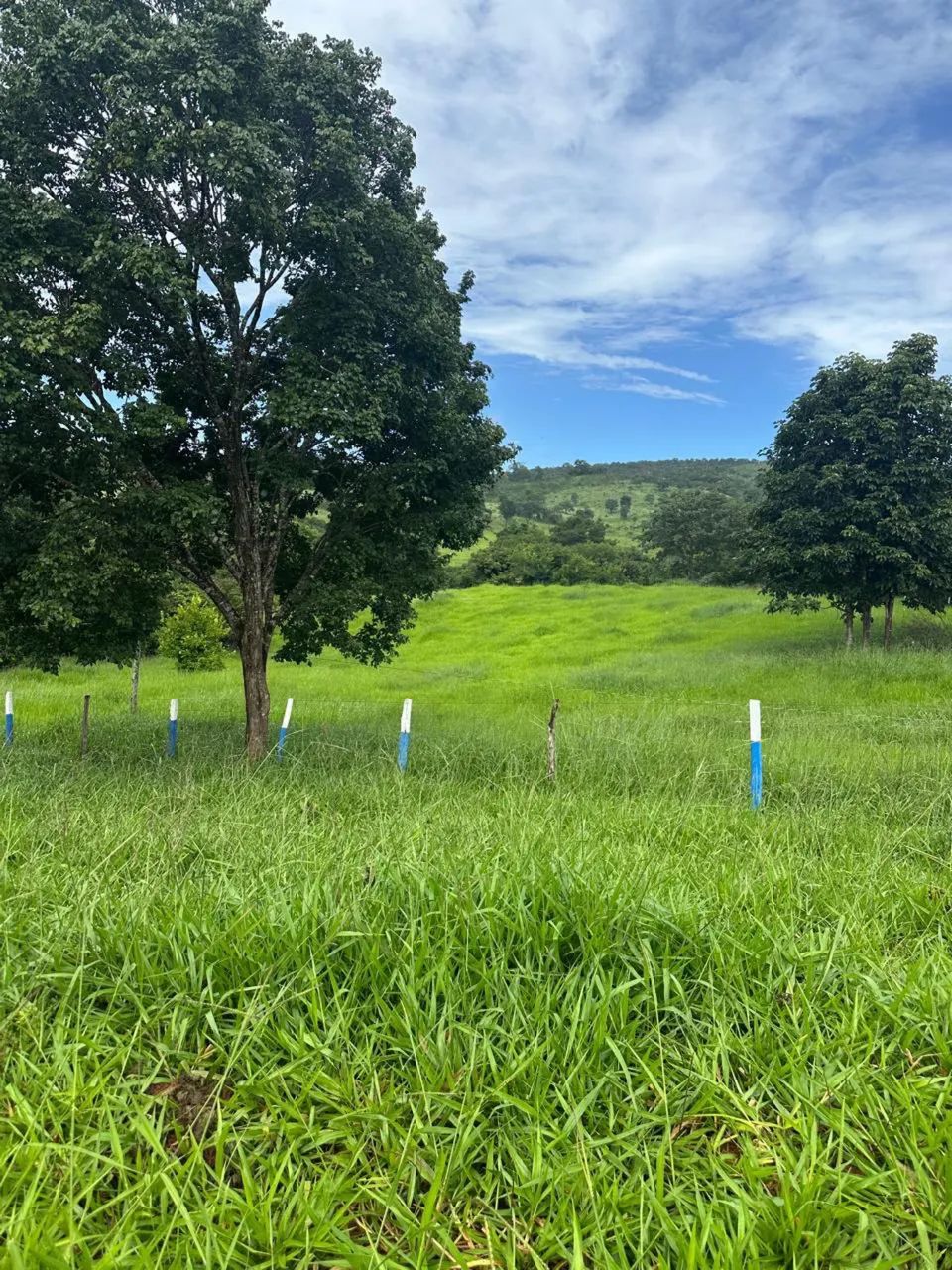 Fazenda Faina-go - Foto 2