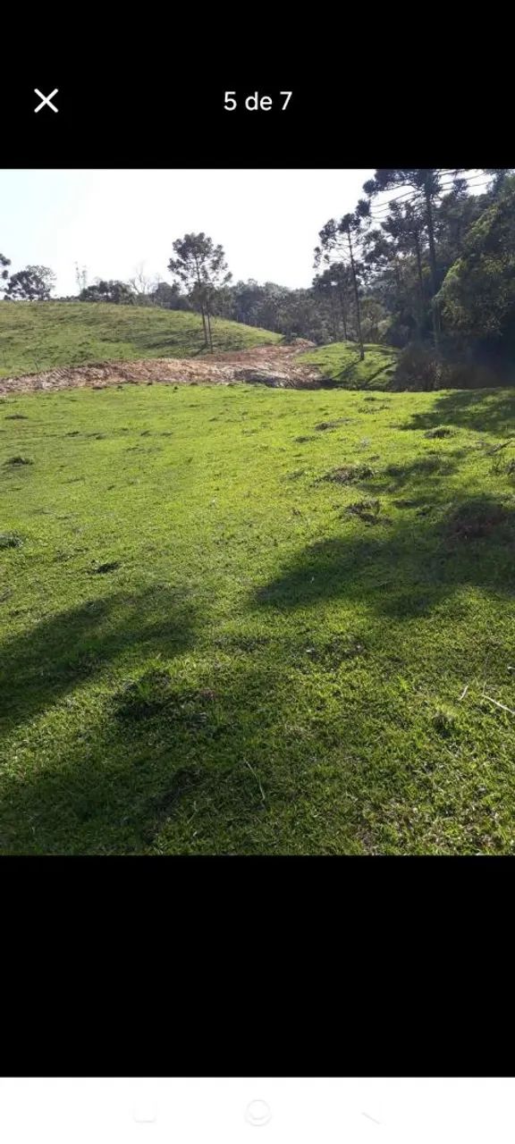 vendo terreno em Alfredo Wagner, bairro Santa Barbara  - Foto 2