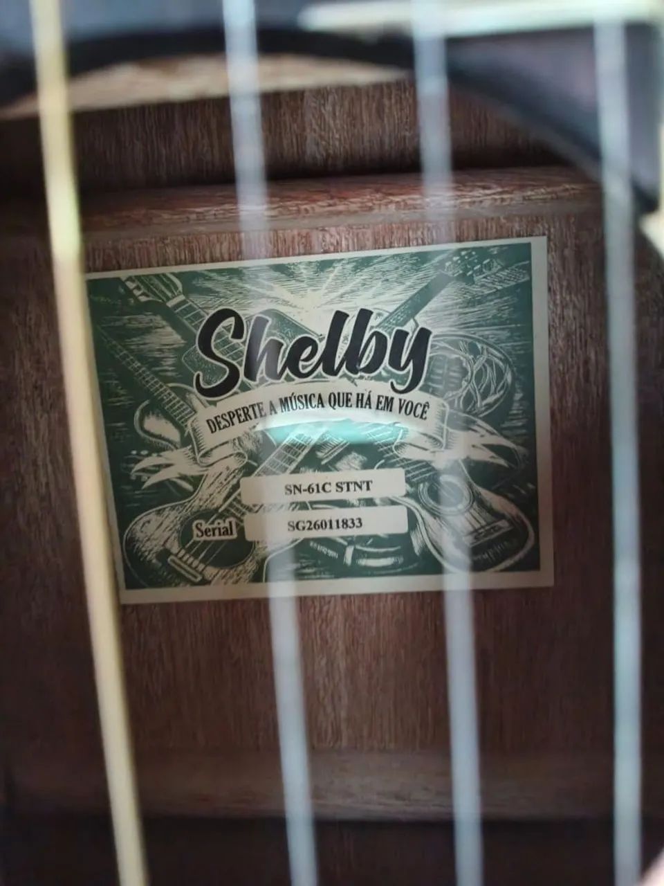 Violão novíssimo Shelby SN61C cordas de aço - Instrumentos