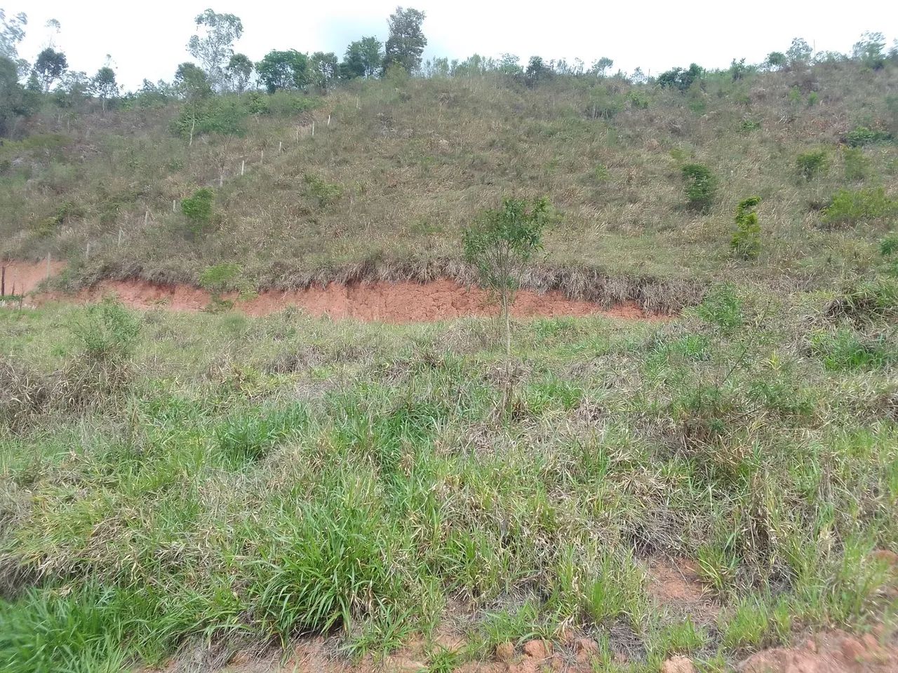 Terreno 15 x 50 mts ( BR 267) - Foto 2
