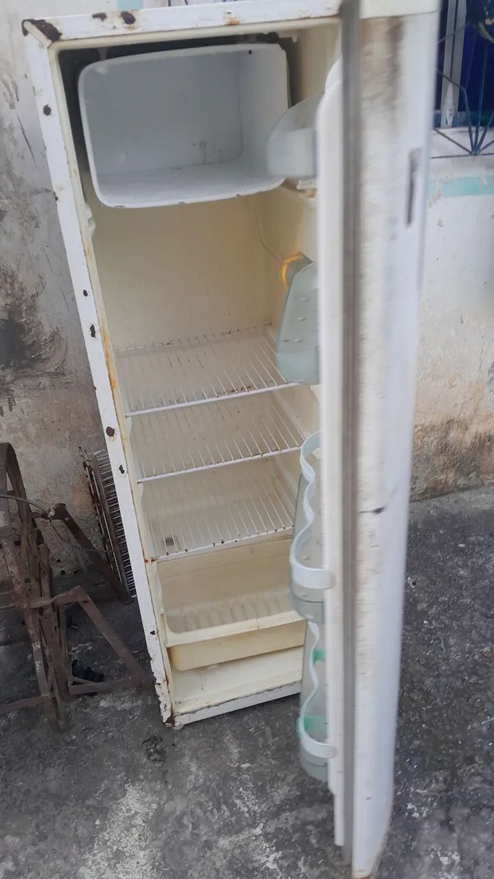 Consul palito - Foto 5