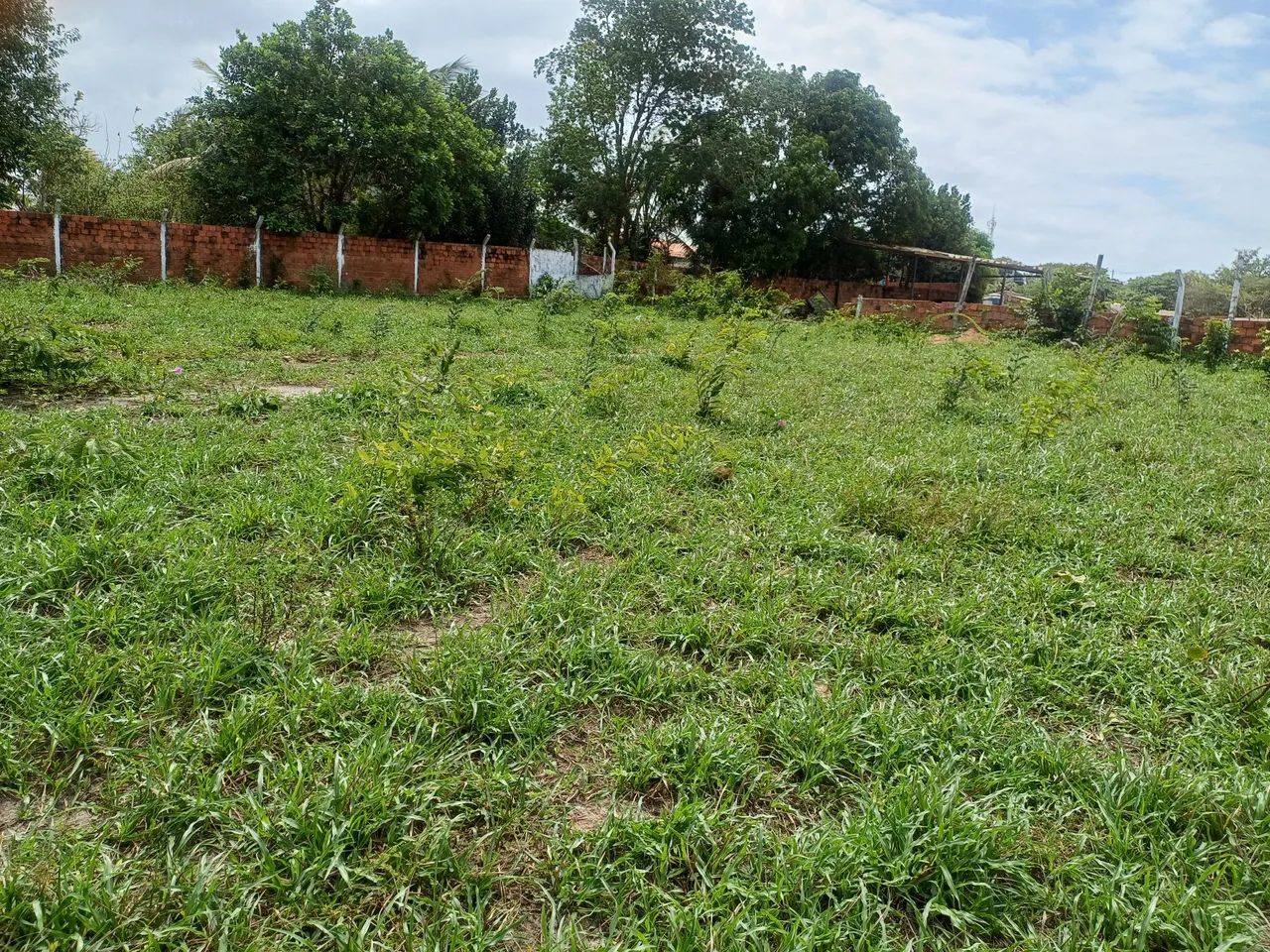 Terreno bom para construir  - Foto 5