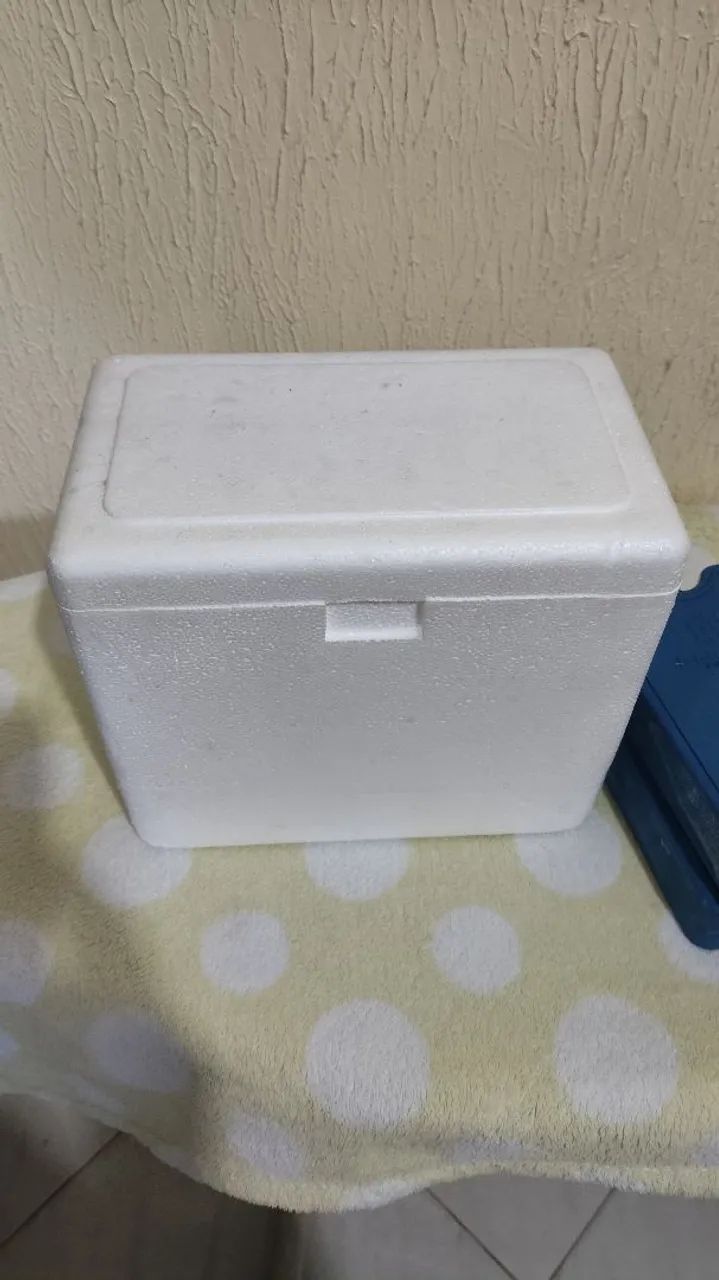 Kit Caixa De Isopor 1 Litro C/ Gelo Rigido 200ml