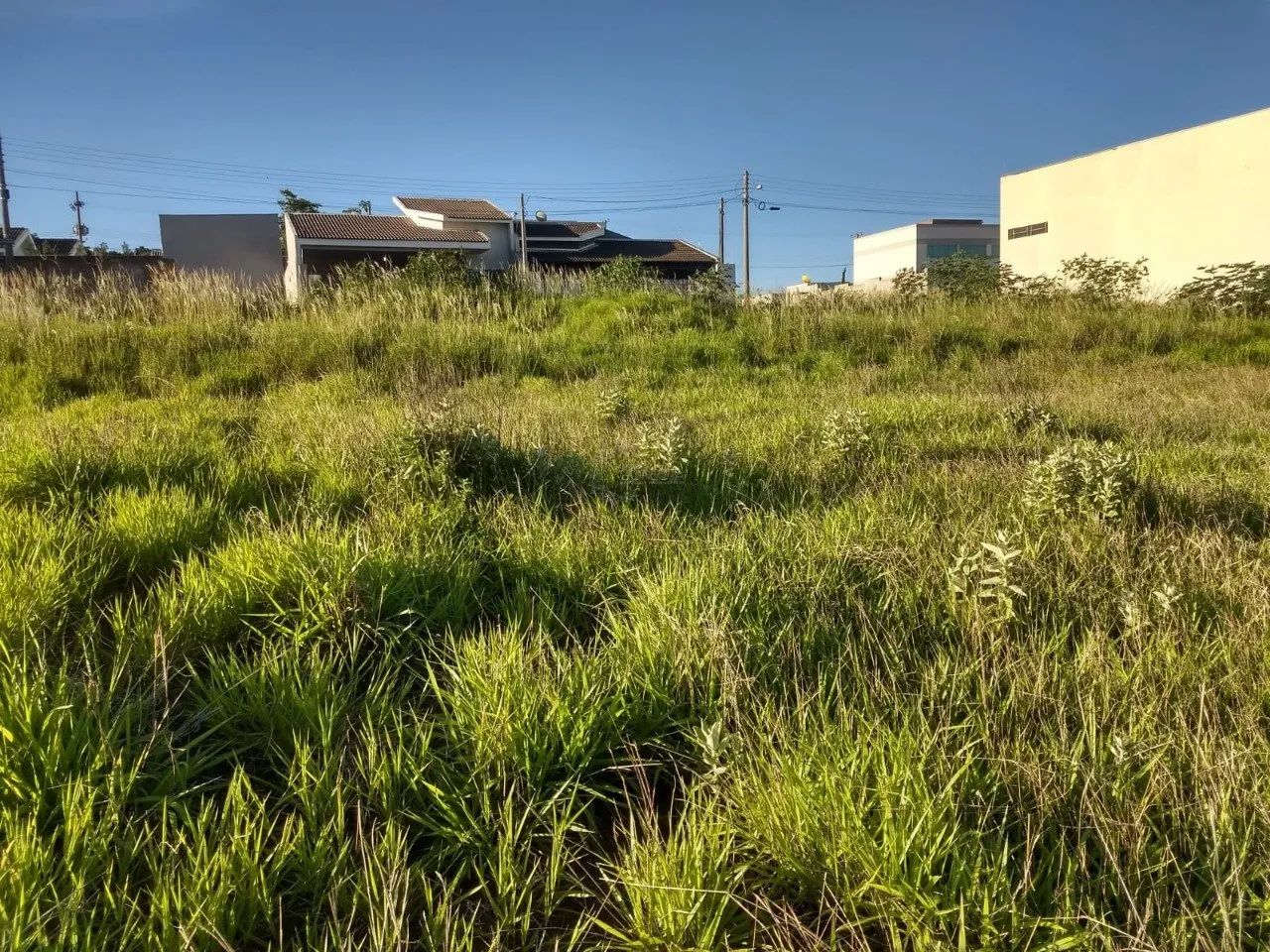 Terreno para loteamento - Jacarezinho - Foto 4