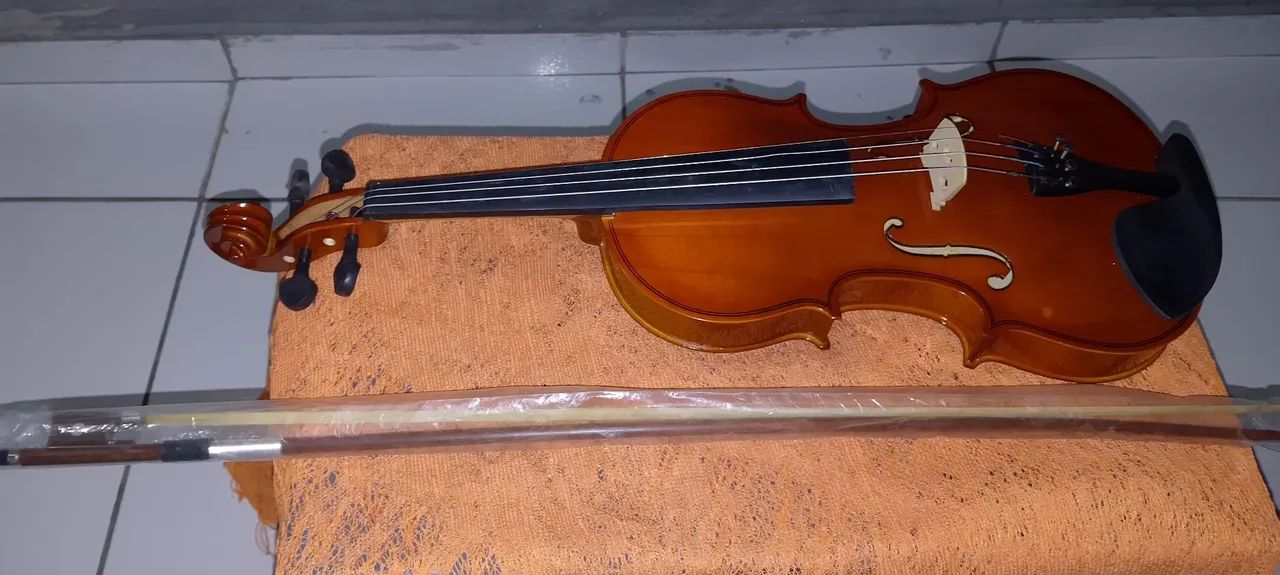 Violino profissional 