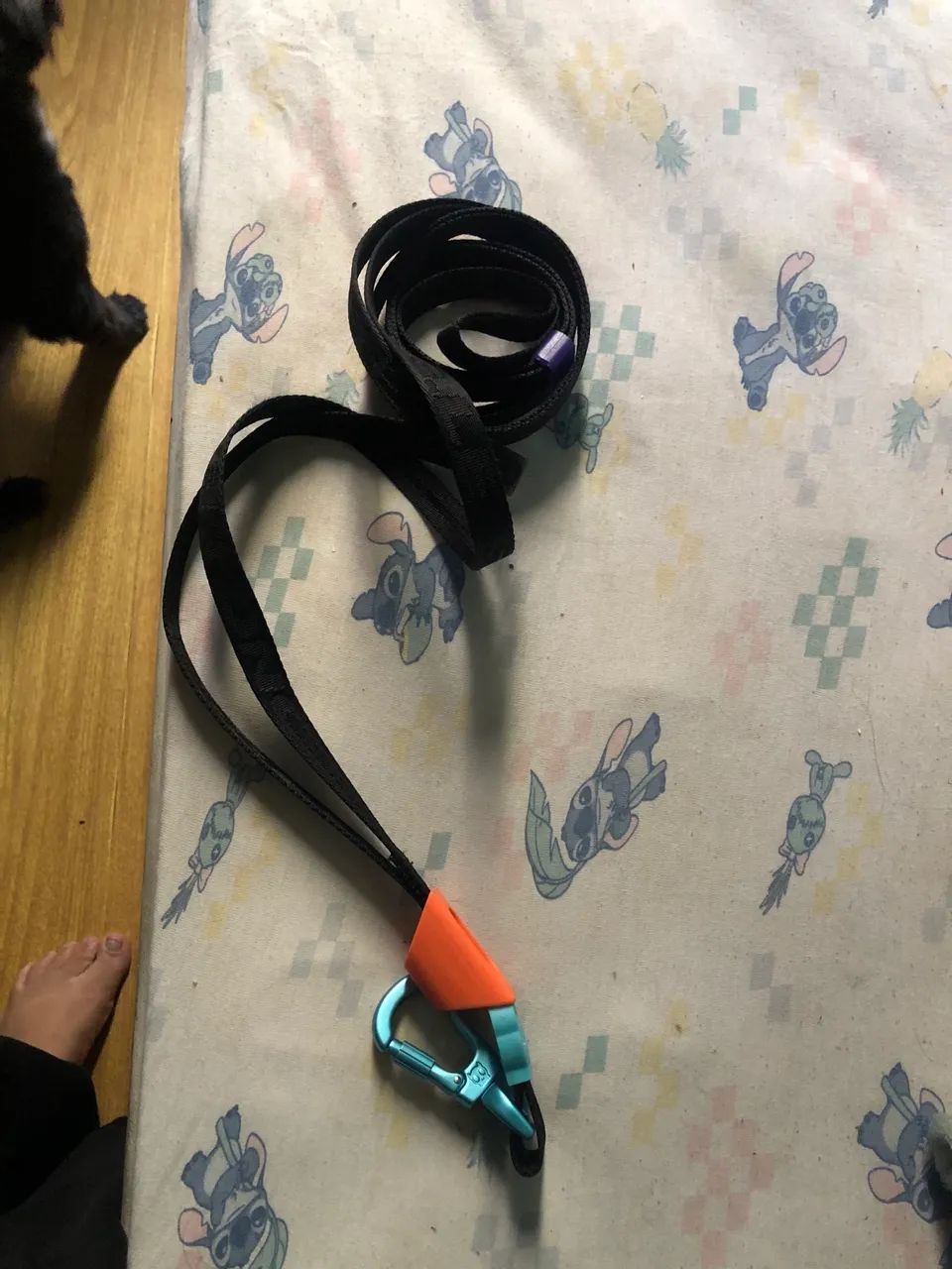 Long leash Zee dog  - Foto 4