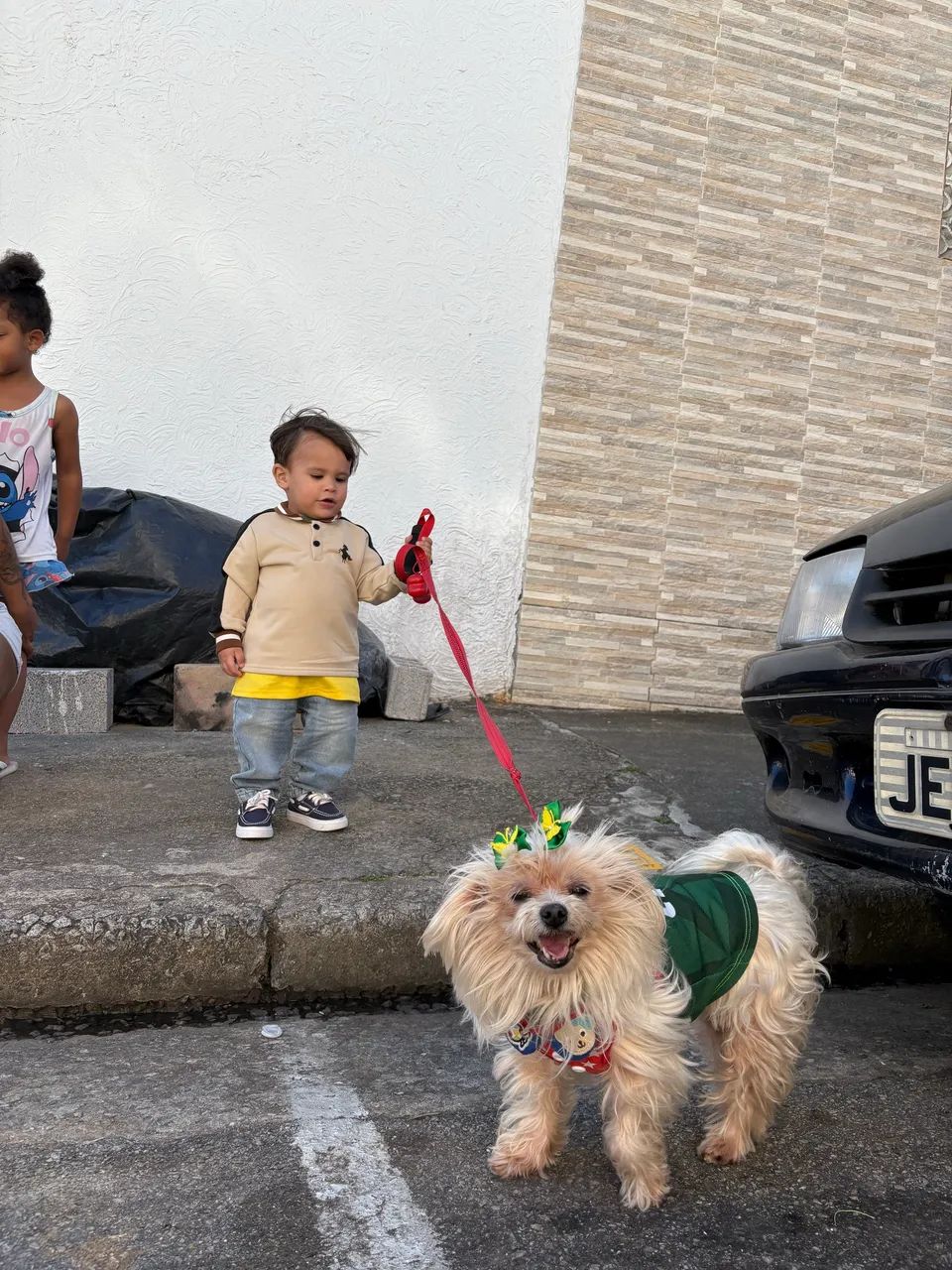 PASSEIO COM CÃES - DOG WALKER  - Foto 3