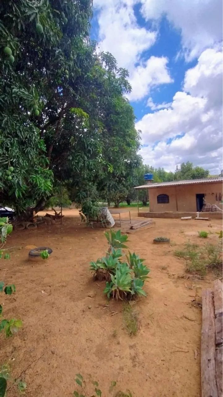 Vendo Chácara Rodeador Brazlândia  - Foto 10