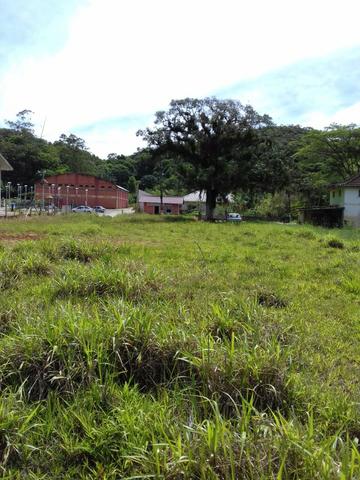 Terreno em São Pedro de Alcântara - Foto 5