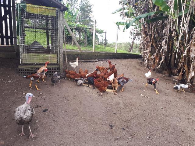 Belíssima Chácara a Venda no Campestre da Malhada - Foto 17