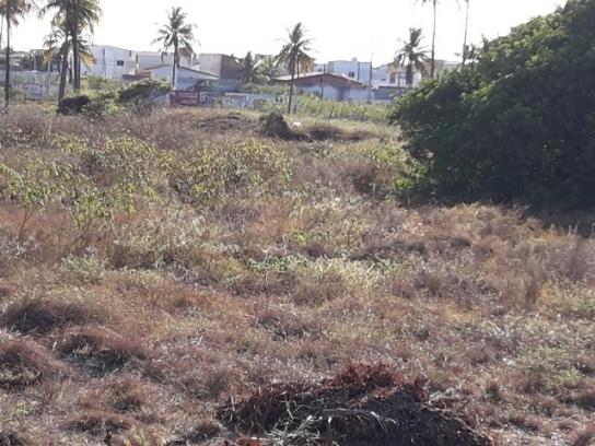 Área (terreno) comercial108 m x 362m = 39.096 m2 ao lado do cond. Maria Rezende Machado