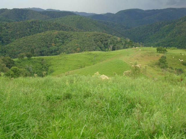 Linda fazenda porteira fechada - Foto 16