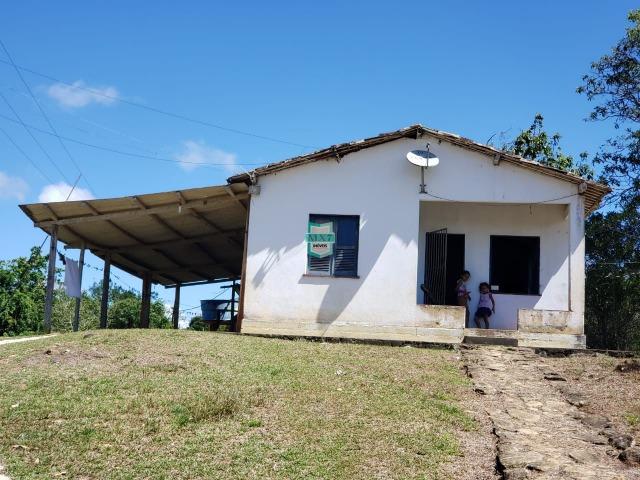 Ilhéus. Fazenda com 368 Hectares cultivo de cacau e gado - Foto 12