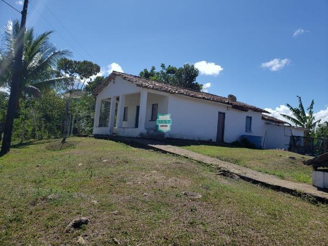 Ilhéus. Fazenda com 368 Hectares cultivo de cacau e gado - Foto 11