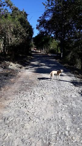 Terrenos em ótima localização (jaboticatubas-mg) - Foto 2