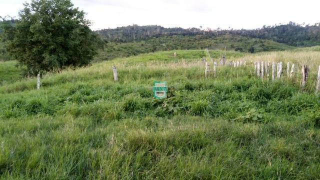 Itagibá. Fazenda pecuária de 375 Hectares com toda infraestrutura. - Foto 13