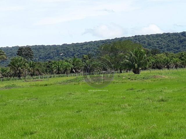 Chacara 40 hectares em mimoso - Foto 12