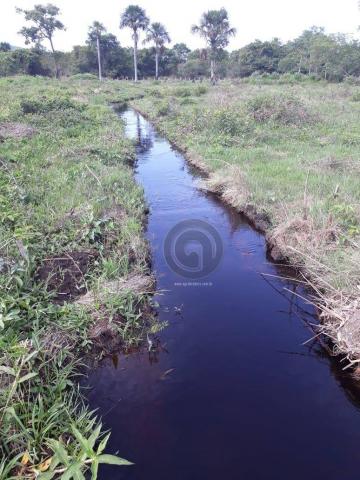 Chacara 40 hectares em mimoso - Foto 6