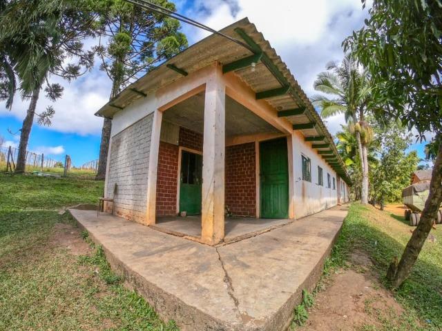 Fazenda (185 alqueires) - Cerro Azul - Foto 10