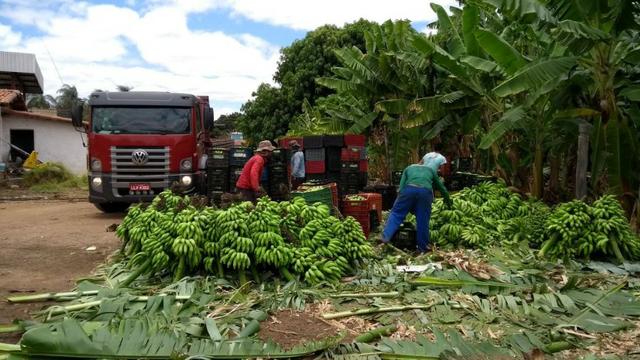 Fazenda a Venda - Foto 15