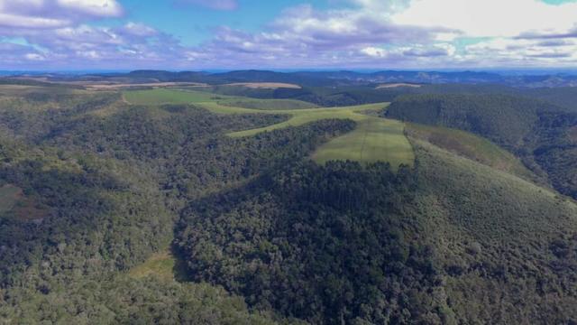 Fazenda (185 alqueires) - Cerro Azul - Foto 2
