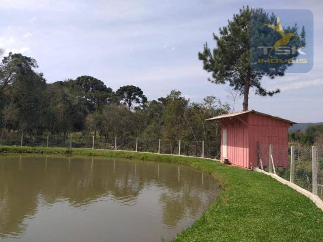 Chácara Lagoa dos Ferreira Mandirituba. CH0289