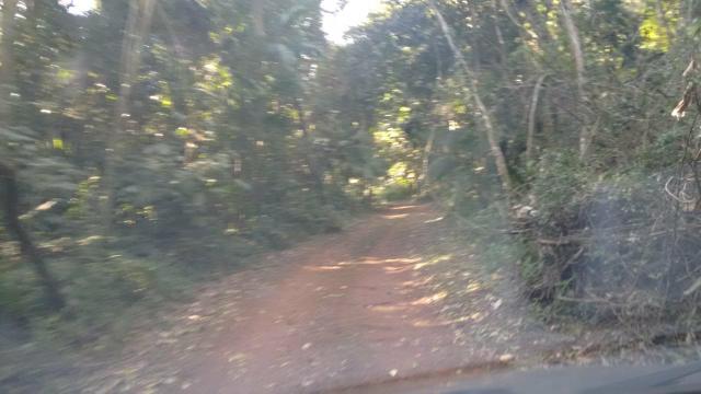 Fazenda - Foto 7
