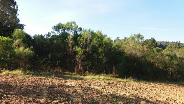 Terreno - Foto 4
