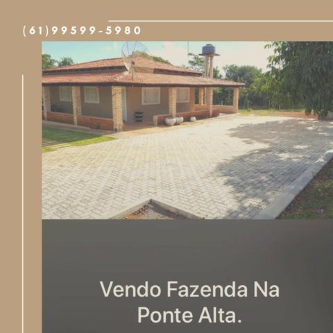 Fazenda Estrada Ponte Alta-GO- 60 Hectares