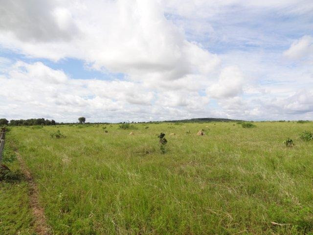 Fazenda em Araguaçu - TO - 73.954 hectares - Foto 3