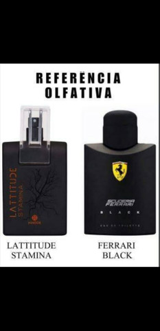 Perfumes Traducoes Hinode 26 Anuncios Na Olx Brasil