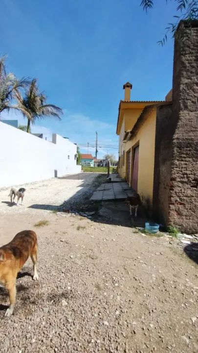 Casa Padrão em Bagé - Foto 6