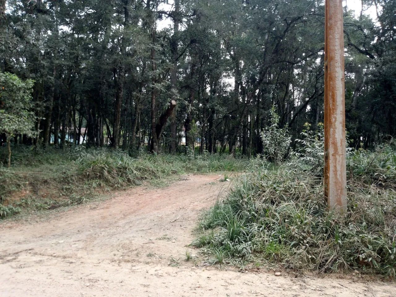 foto - São José dos Pinhais - Área Rural de São José dos Pinhais