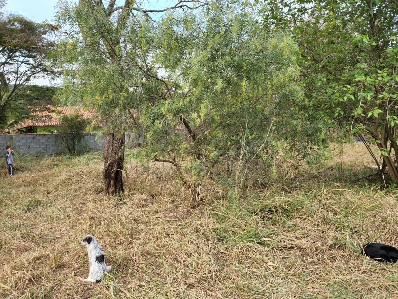 Foto - Sorocaba - Aparecidinha