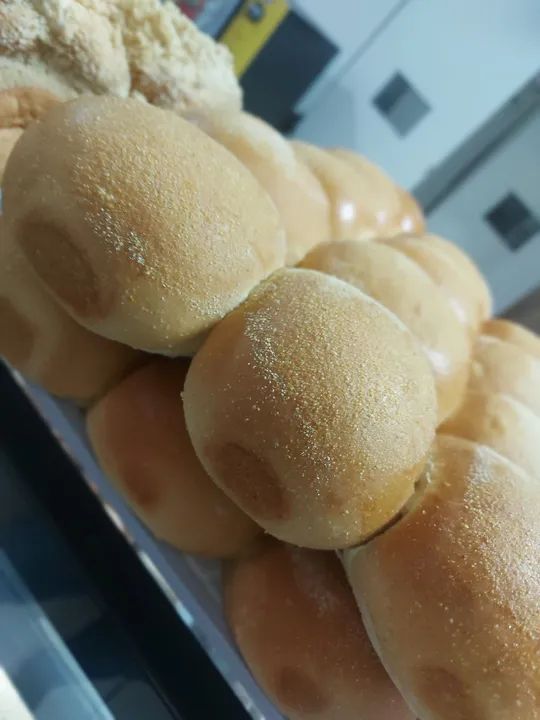 Vendo linda panificadora  - Foto 3