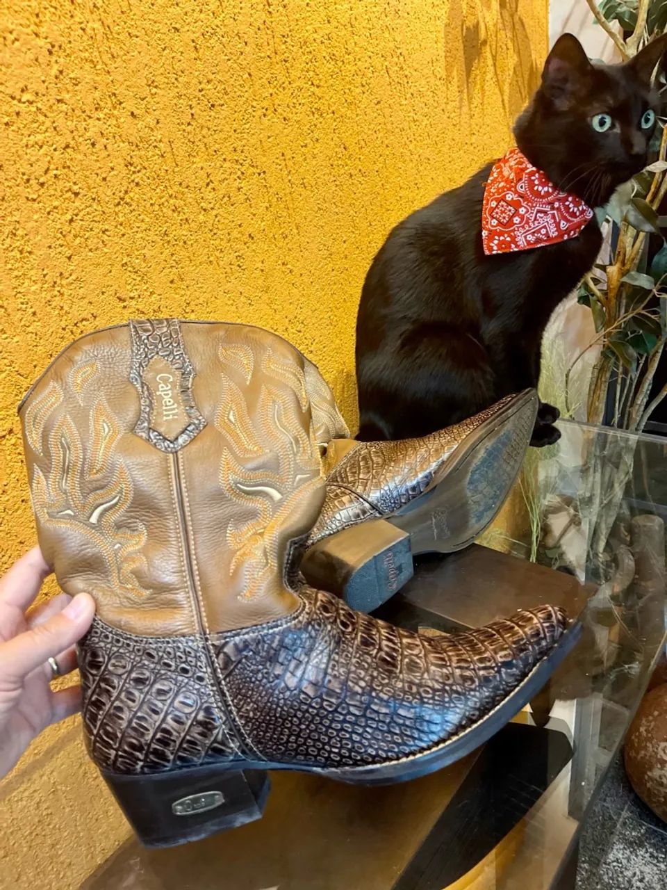 Bota cowboy original Capelli n 41 - Foto 3