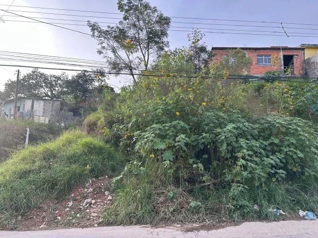 Foto - Francisco Morato - Jardim Olga