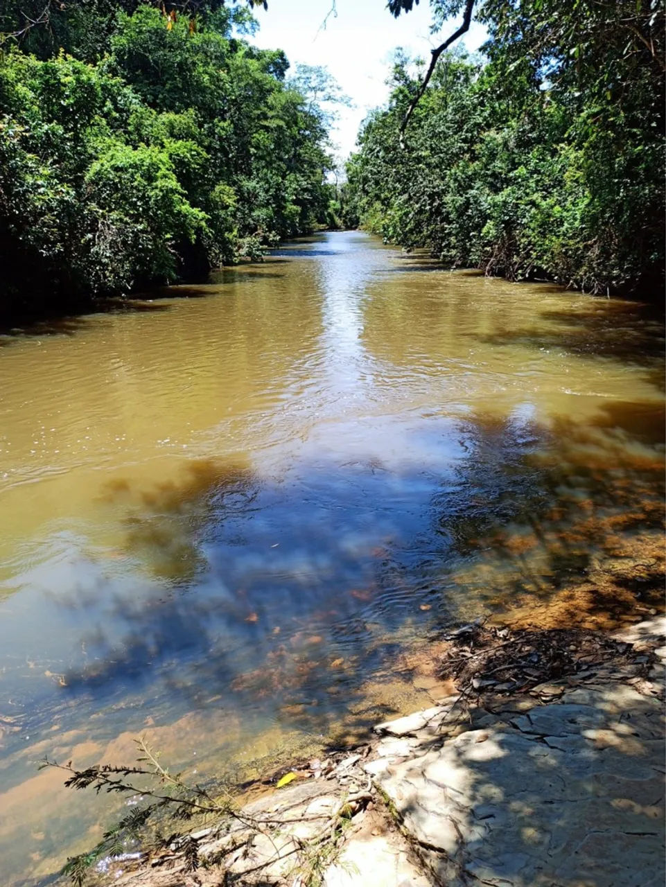 Terreno em jabuticabas