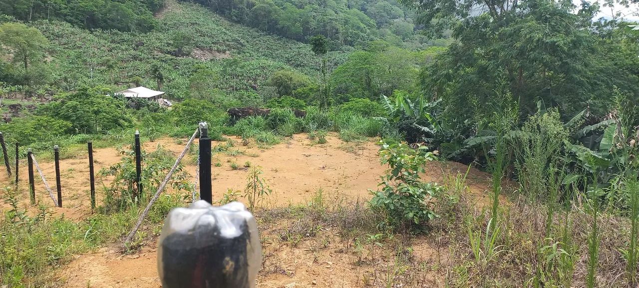  Chacara SEM CASA  10mil mts Pedro de atoledo SP - Foto 2