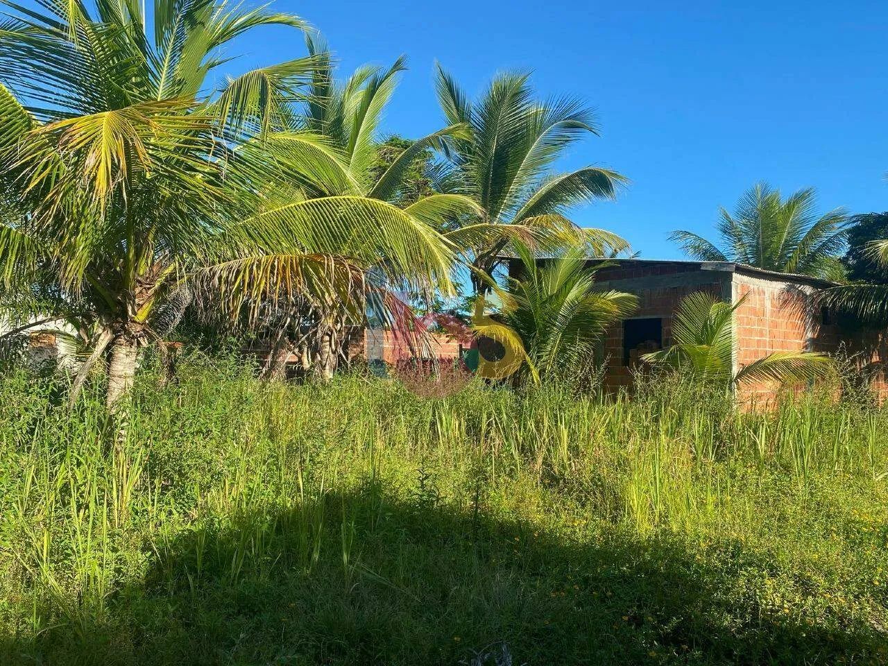 Vendo Lote na Zona Norte de Ilhéus - Foto 4