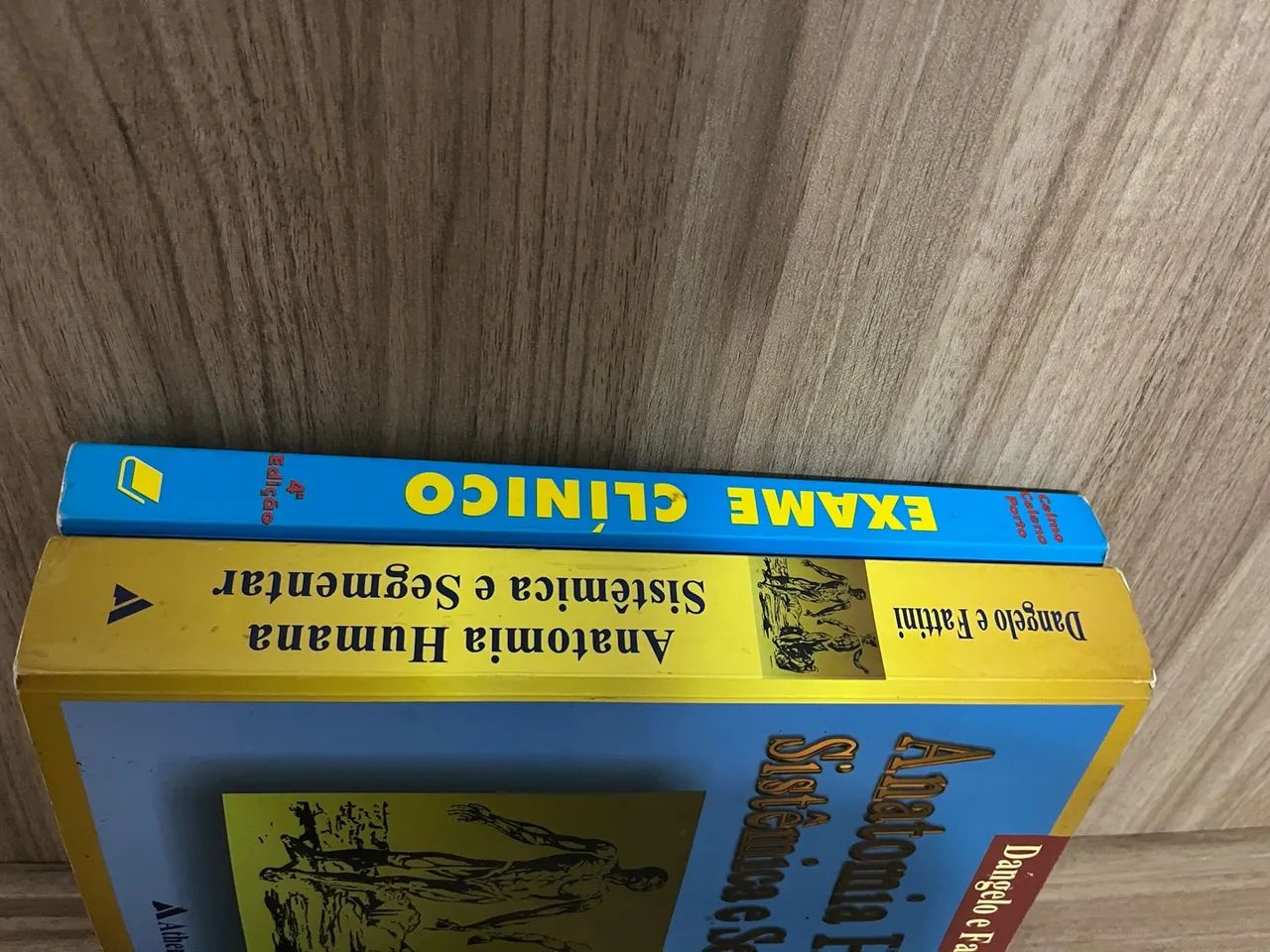 Livros de Anatomia e Exame Clínico - Foto 2