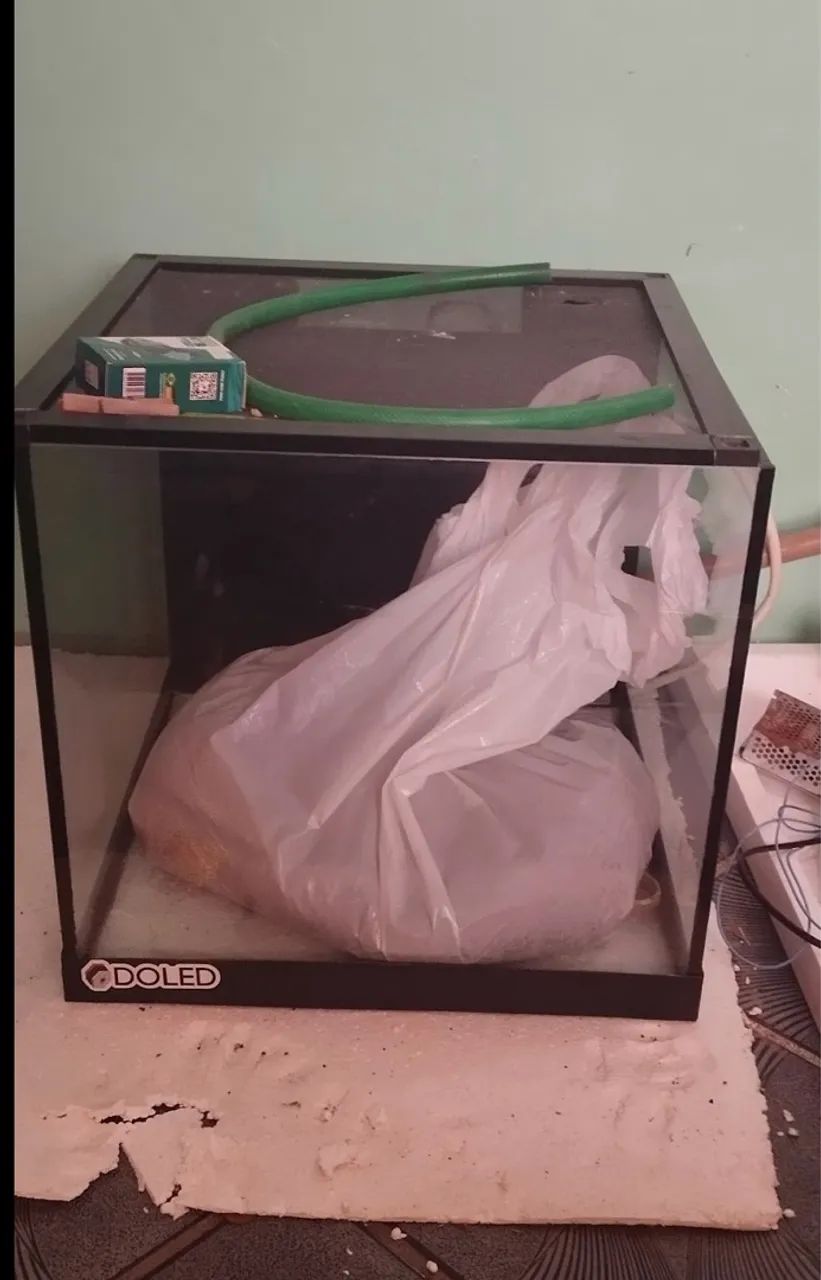 Aquário 45x45x45 