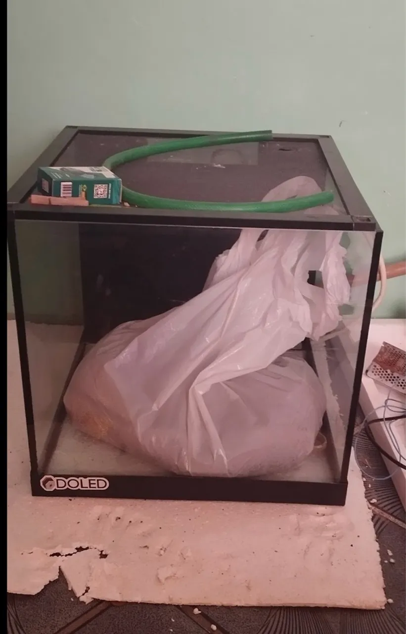 Aquário 45x45x45