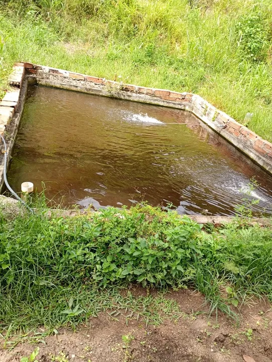 Sítio 27900 dos Sonhos em Nanuque Minas ACEITO SERVIÇOS DE MARCENARIA-CHALÉS-ENERGIA SOLAR