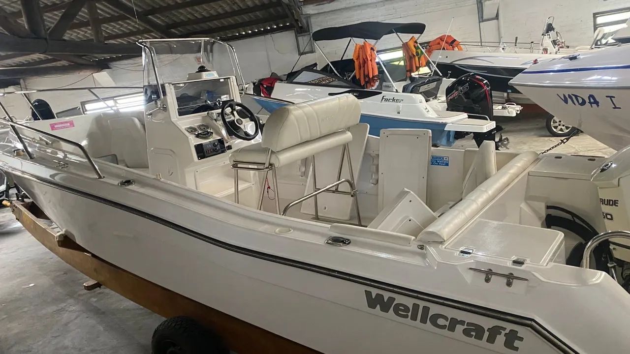 Wellcraft 230 - 2013 x1 Evinrude E-TEC 150 HP ñ Fishing Victory  - Foto 8
