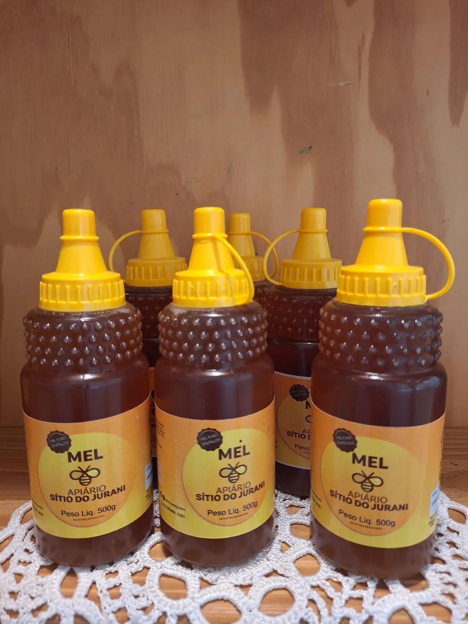 Mel Puro de Abelhas 500g